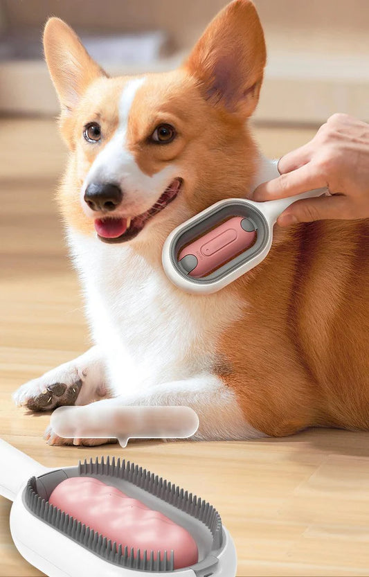 Pet Brush with Wet Wipe - Complete Cleaning